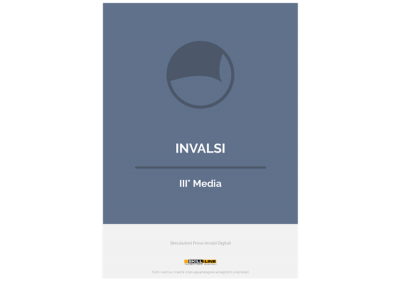 Invalsi III Media